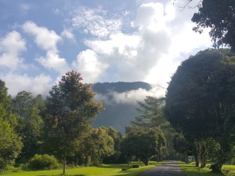 Bali Handara Golf Ticket Only