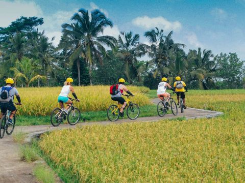 Ubud Cycling and Ayung Rafting