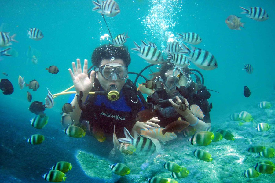 Package I (Scuba Diving + Jet Ski + Fly Fish)