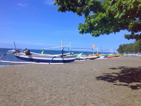 Bedugul Mountain and Lovina North Coast Bali in One Day Tour