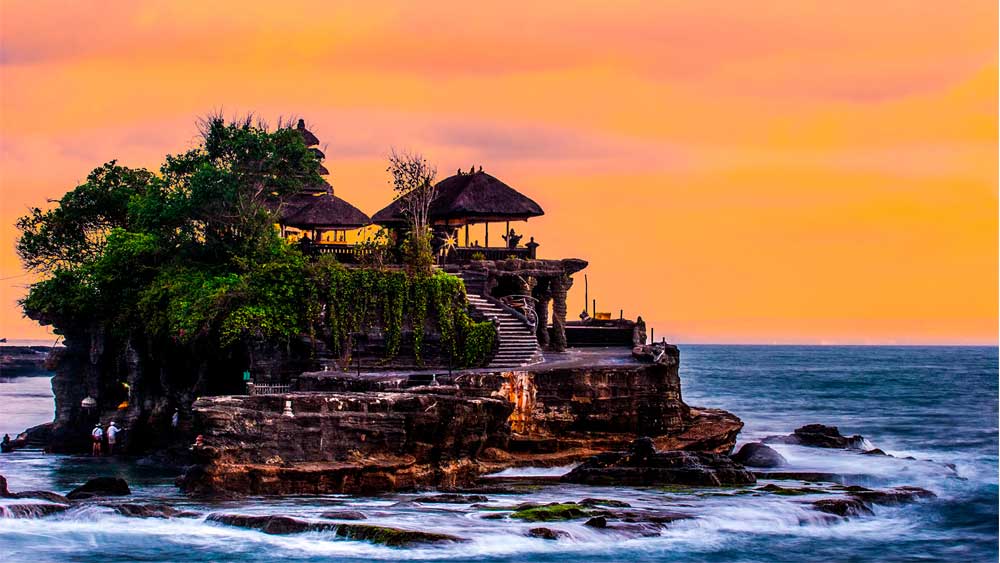 Ubud, Rice Terrace, Tanah Lot Private Tour - Image 4