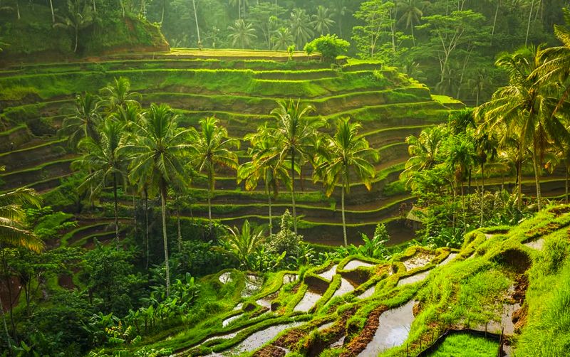 Bali Instagrammable Highlight Full-Day Tour - Image 4