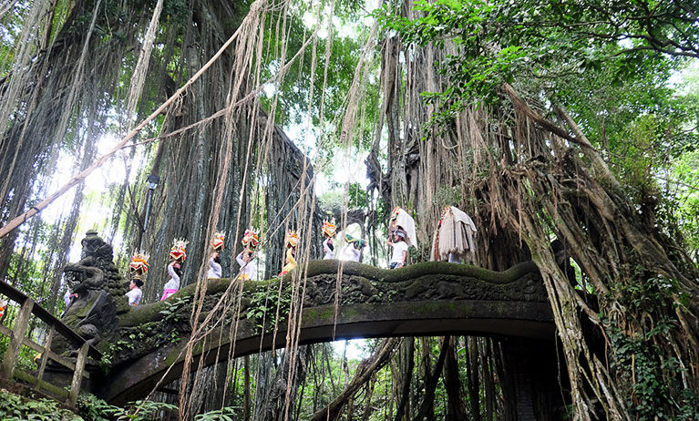 Ayung Rafting and Ubud Tour - Image 2